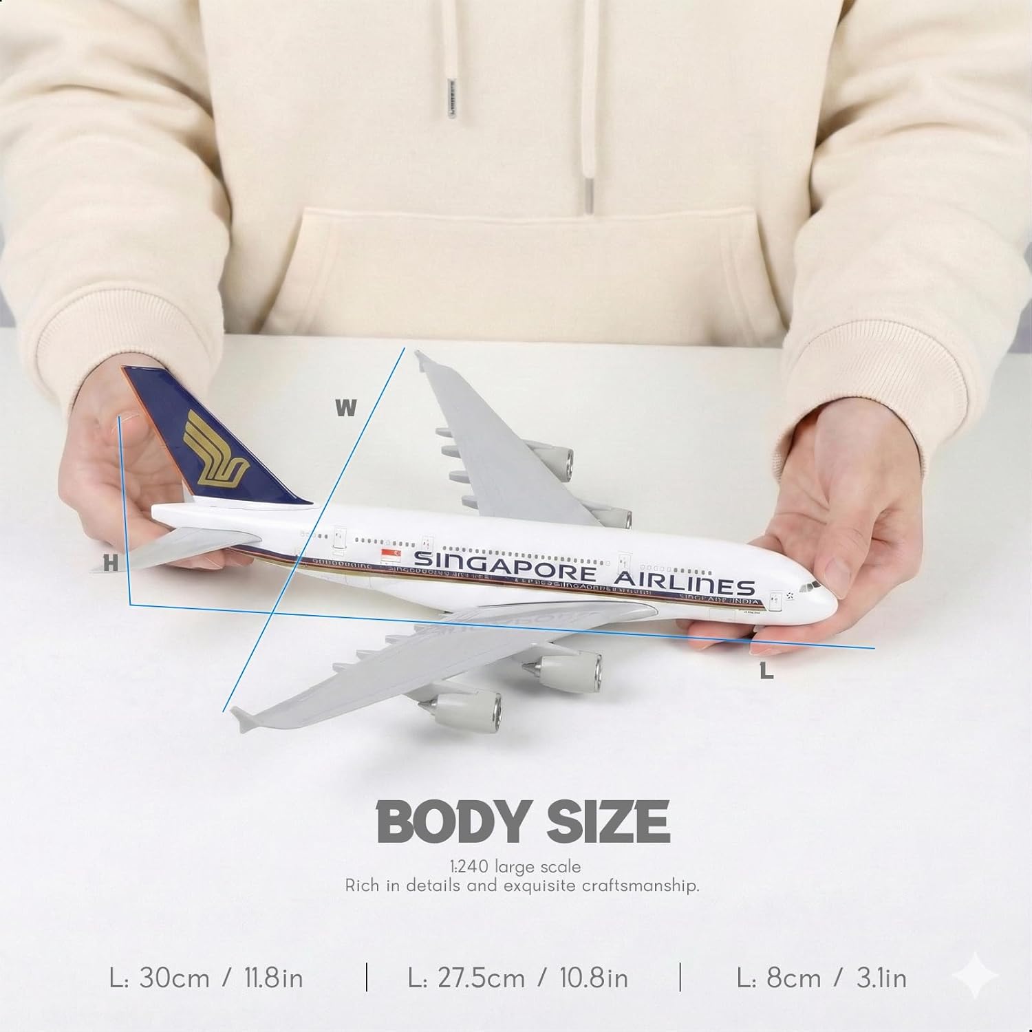 1/240 ชุดโมเดลเครื่องบินสิงคโป - Model Kit Singapore บทวิจารณ์และราคา